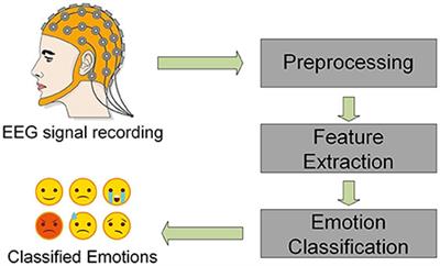 E2ENNet: An end-to-end neural network for emotional brain-computer interface